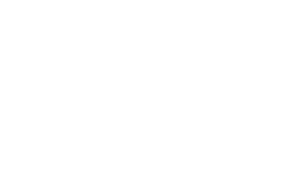 Flair Sport Logo